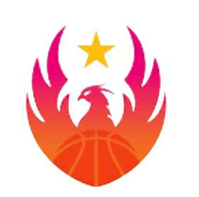 坎皮纳斯联合女篮